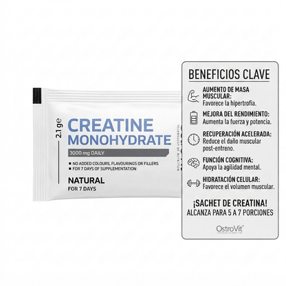 Creatina Monohidratada OstroVit (Formato Sachet / 7 Días)
