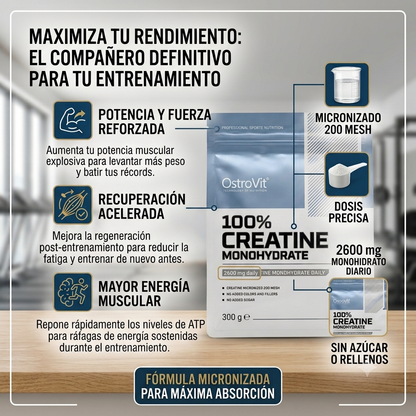 Creatina Monohidratada  100% OstroVit - 300g